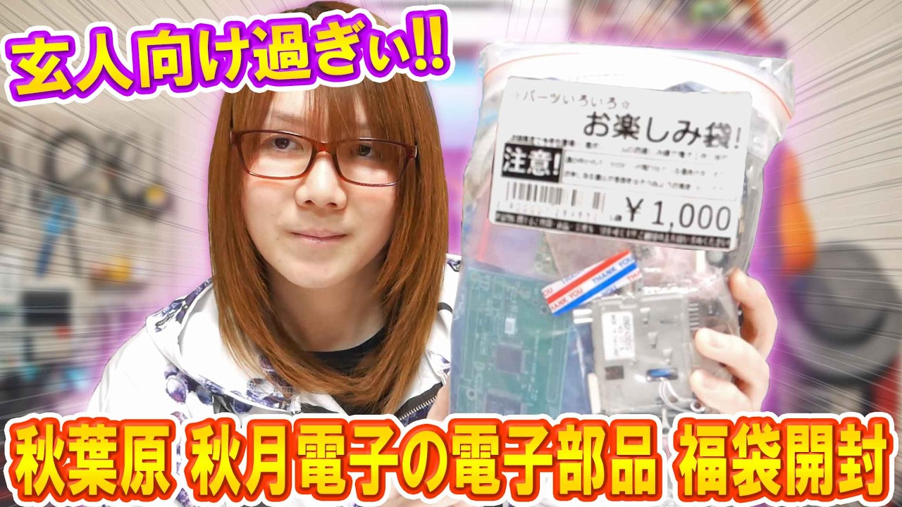 Lucky Bag] Too Expert!! Akizuki Electronics' 1,000 Yen Junk
