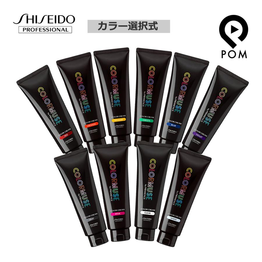 SHISEIDO PROFESSIONAL（資生堂プロフェッショナル） 資生堂 カラー