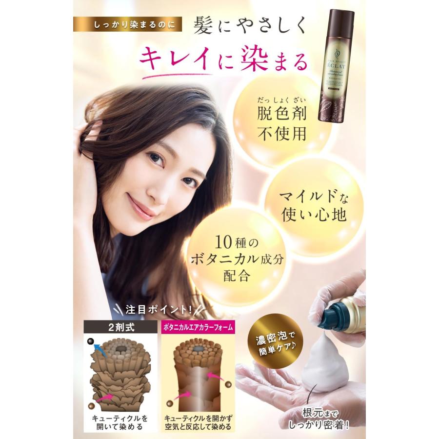 ヘアボーテエクラ ボタニカル エアカラーフォーム EX ナチュラル