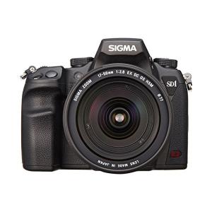 シグマ（SIGMA） 中古 1年保証 美品 SIGMA SD1 Merrill : Premier