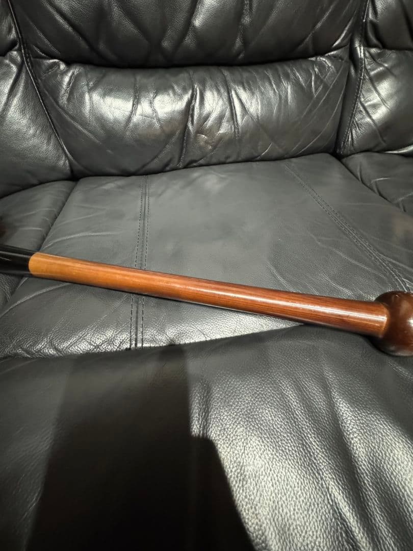 ミズノプロ 木製バット 硬式 NPB 野球 H2 城島実使用品？参考価格