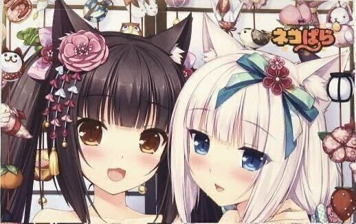 ネコぱら